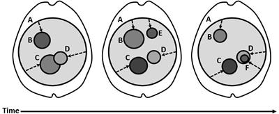 The Temporally-Integrated Causality Landscape: Reconciling Neuroscientific Theories With the Phenomenology of Consciousness